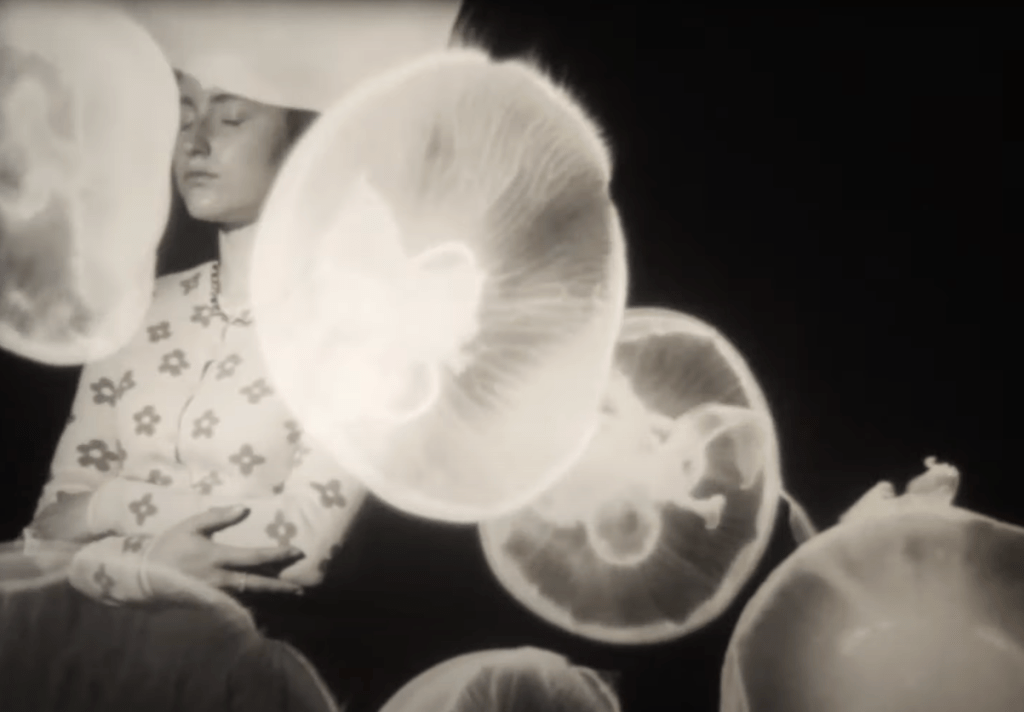 a visit to the&nbsp;aquarium